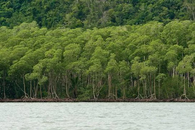 Bahía de San Lorenzo