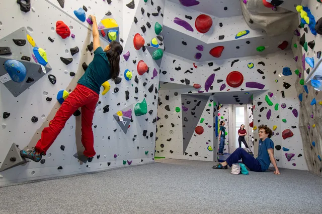 Edelweiss Walfischgasse