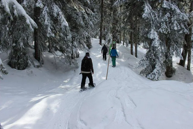 Cypress Mountain Hollyburn Nordic Area