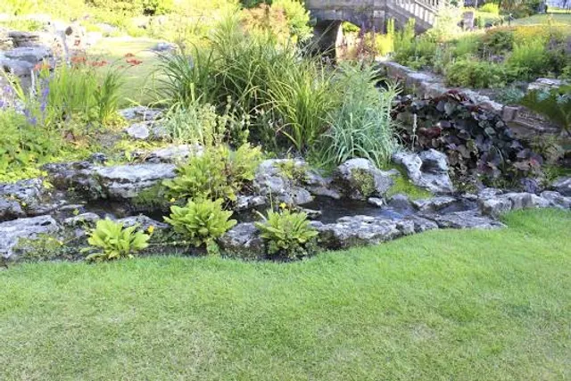 Australian Rockery Lawn
