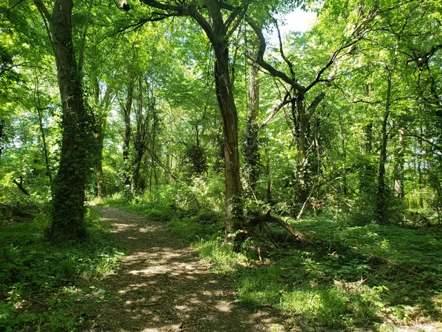 Margery Adams Wildlife Sanctuary