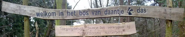 Le bois de Daan le blaireau