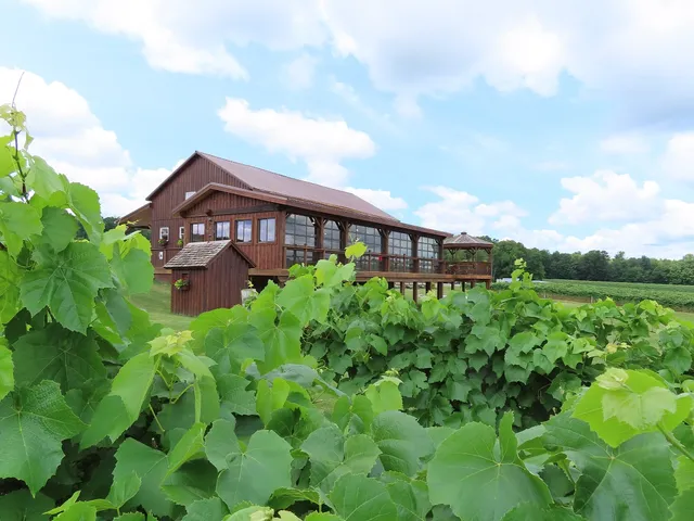 Stever Hill Vineyards