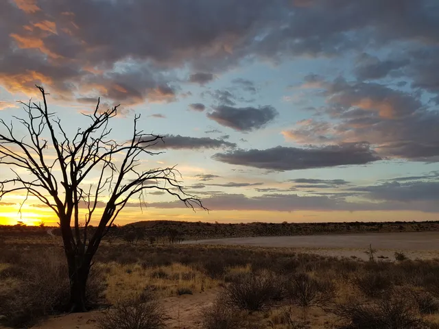 Bitterpan Wilderness Camp