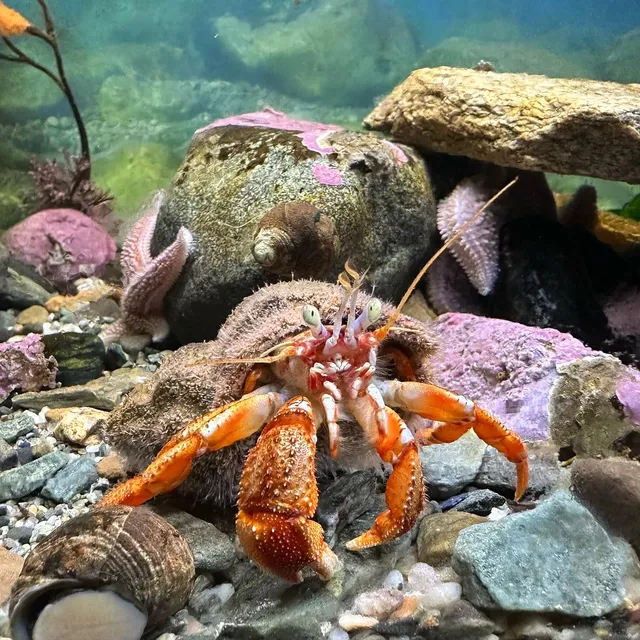 Oceanarium and Education Center