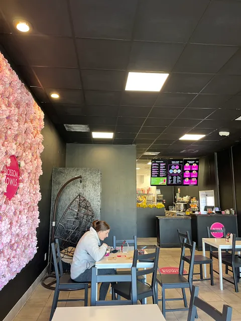 Blossom Bowls Northshore