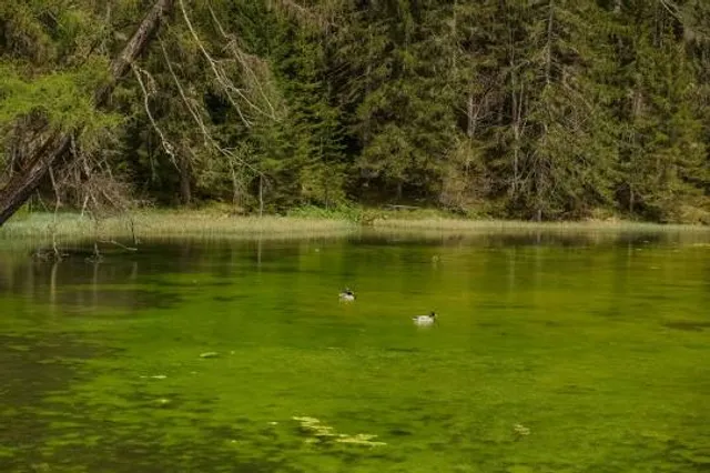 Little Green Lake