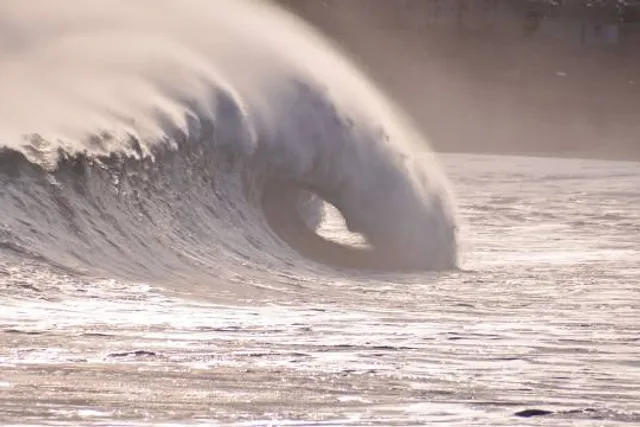 Brush Creek Park COE