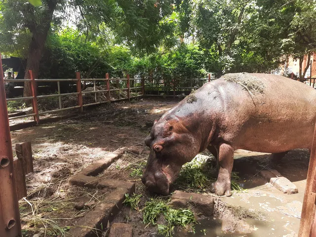 Parc urbain Bangr Weoogo