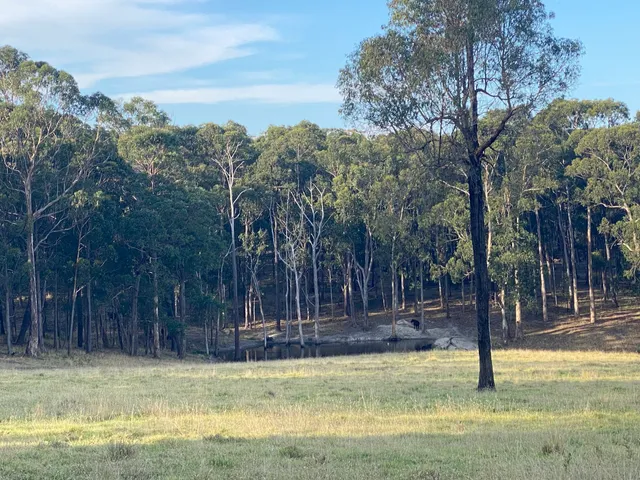 Brackenbush Unleashed Dog Park