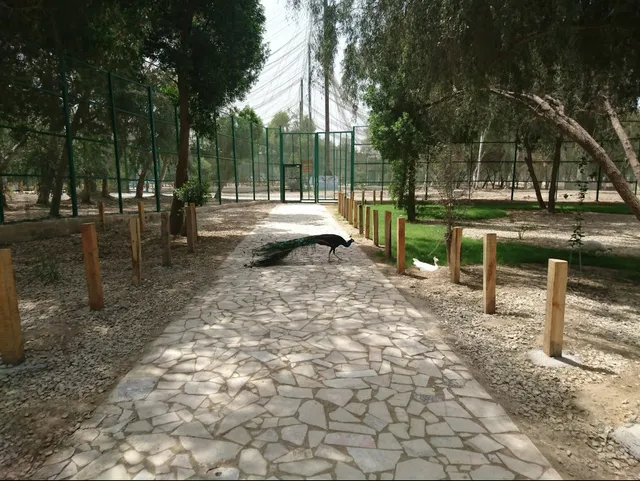 BandarAbbas Bird Garden