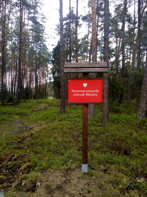 Rezerwat przyrody Jeleniak Mikuliny