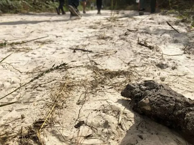 Loud Thunder Forest Preserve