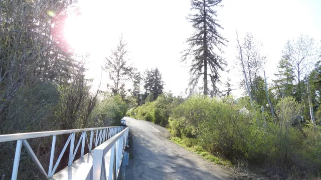 photo-3