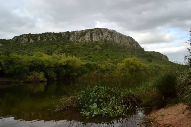 Cerro de los Cuervos