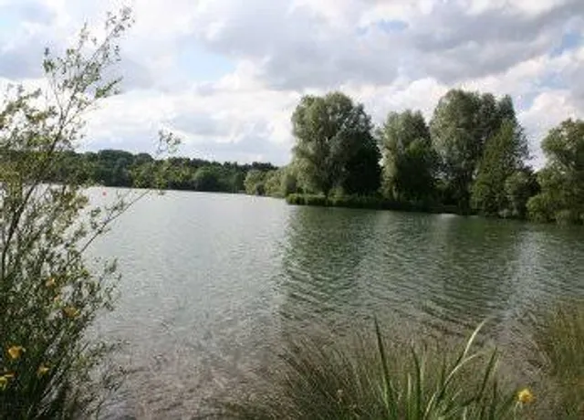 Ingstetter Weiher
