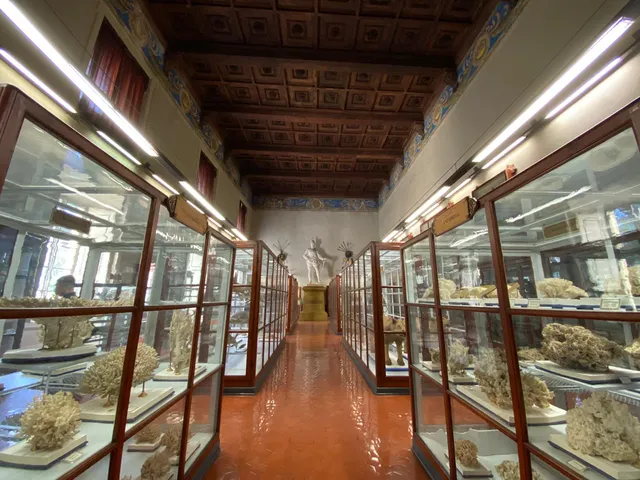 MUST Museo di Storiografia Naturalistica
