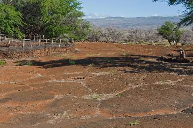 Puakō Petroglyph Park