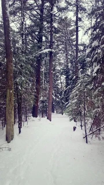 Parc du Boisé-de-la-Marconi