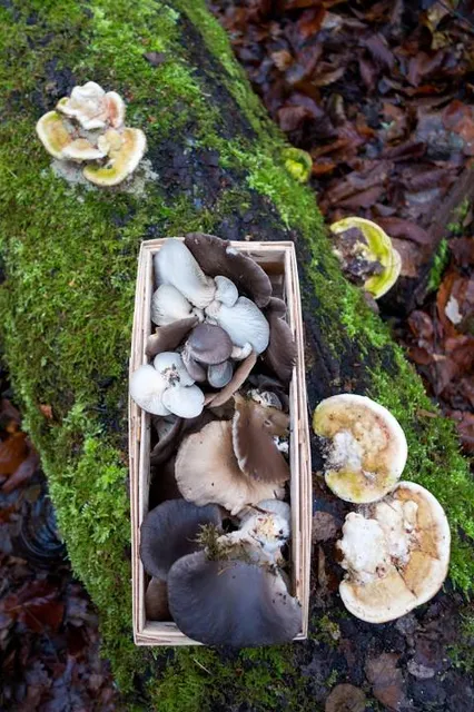 Tierpark Waltenschwil