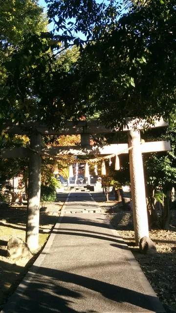 photo-2