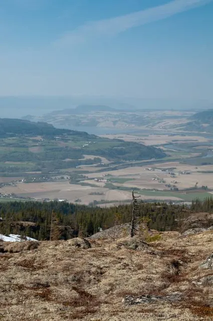 place image