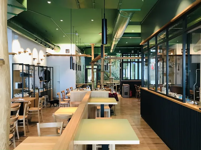 Katzentempel Leipzig Mitte