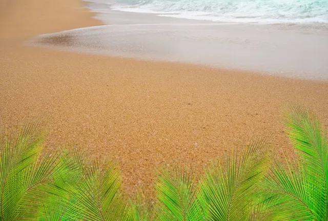 Eolian Dunes Preserve