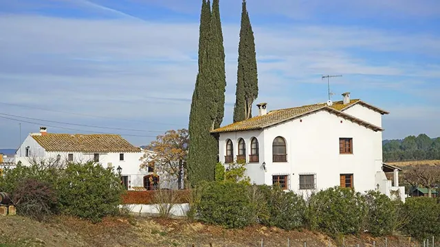 Cellers Carol Vallès