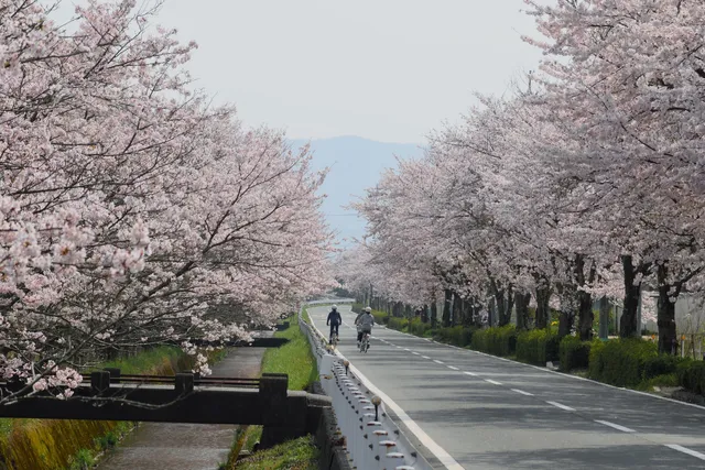 Shin-asahi Shinrin Sports Park