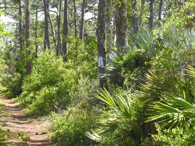 Oslo Riverfront Conservation Area