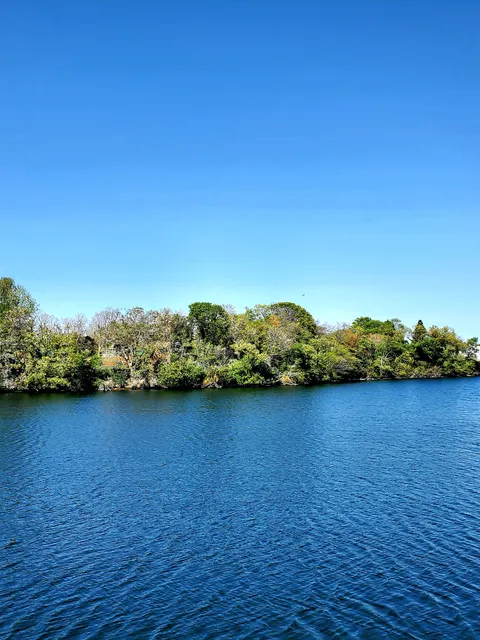 チバコドモノクニ