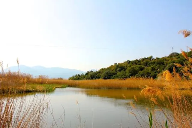 Pego-Oliva Marsh