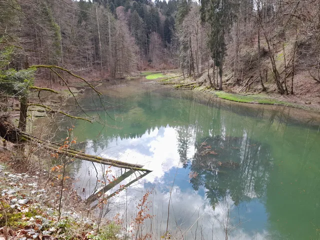 Wasserfall Wissbachschlucht