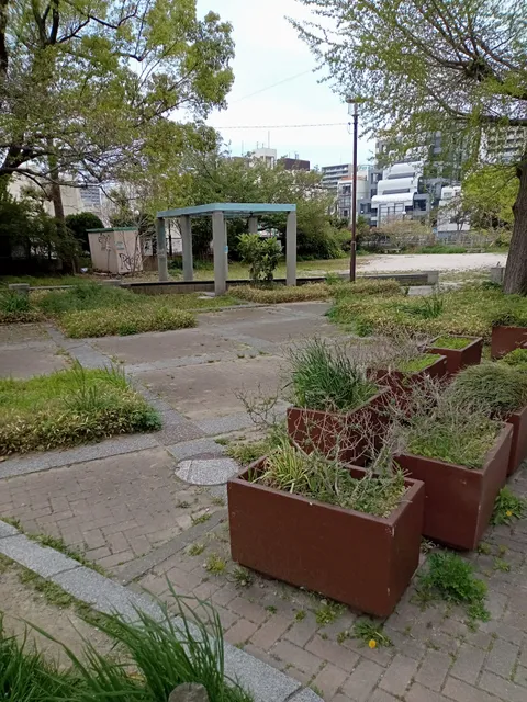 photo-1