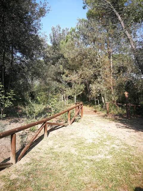 Dune Fossili di Porto Viro