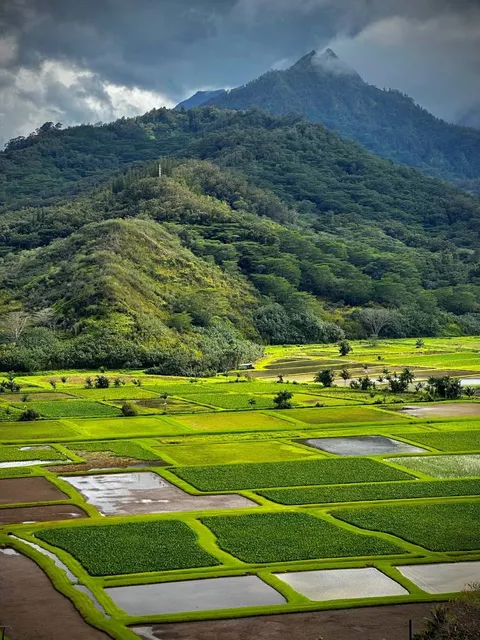 Okolehao Hiking Trailhead