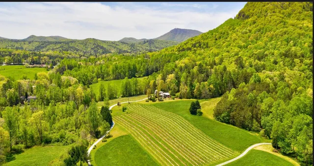 Tiger Mountain Vineyards & Wedding Venue