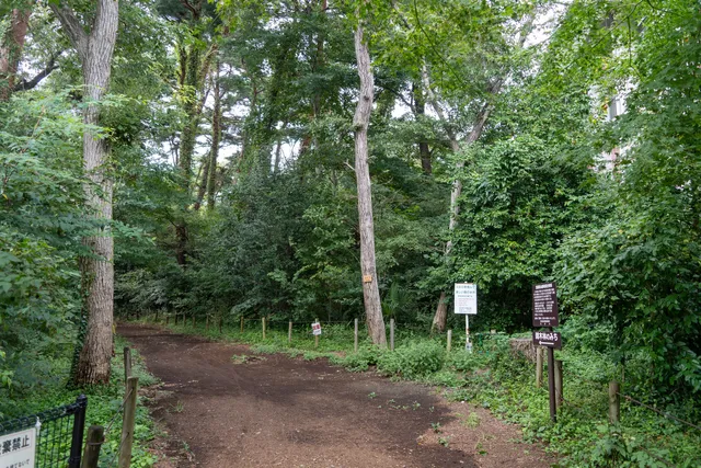 Kiyose Matsuyama Green Area and Conservation Area (10 views of Kiyose)