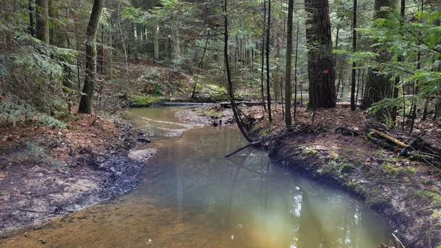 Rezerwat przyrody Sufraganiec