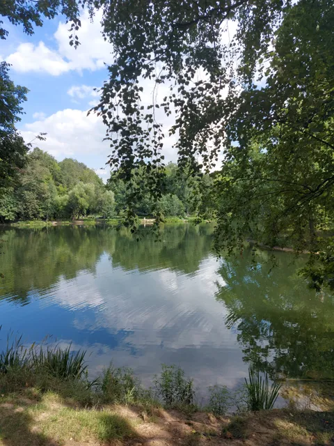 Park Usad'by Arkhangel'skoye-Tyurikovo