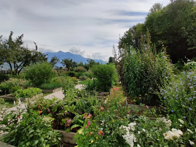 photo-1