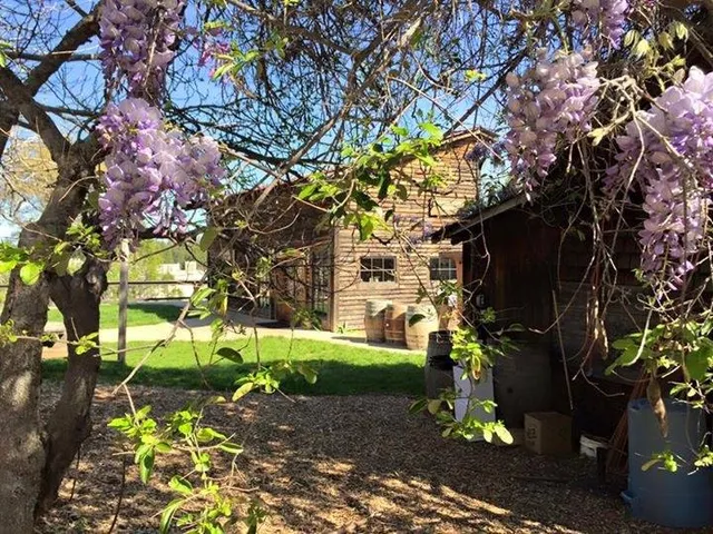 Bumgarner Wine Tasting Camino