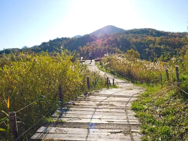 Nishiyama Crater Walking Trail