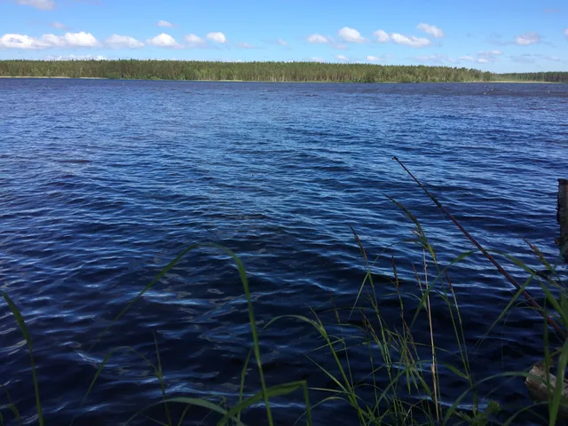 Zhuravlevskoye Ozero