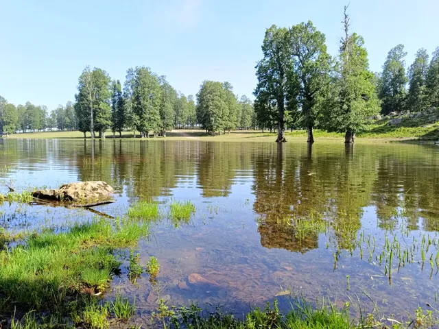 بحيرة ام الحناش