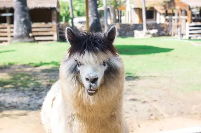 Forest Capital Museum State Park