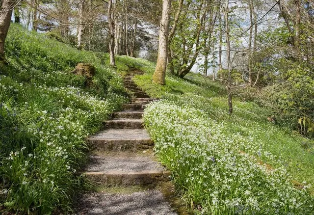 National Trust - Coleton Fishacre