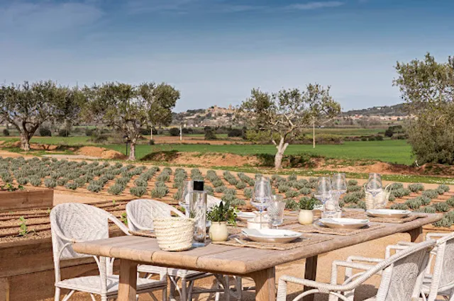 Restaurant Mas de Torrent