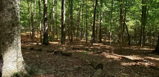 Outdoor Activity Center